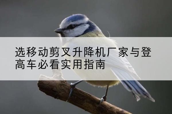 福建电动升降机厂家-选移动剪叉升降机厂家与登高车必看实用指南