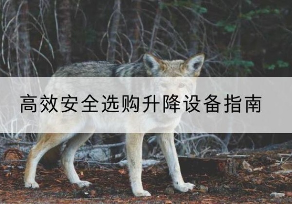 福建升降货梯厂家推荐-*安全选购升降设备指南